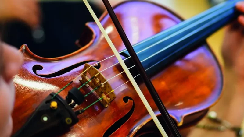 Detail view of an unrecognizable woman playing the violin in public.