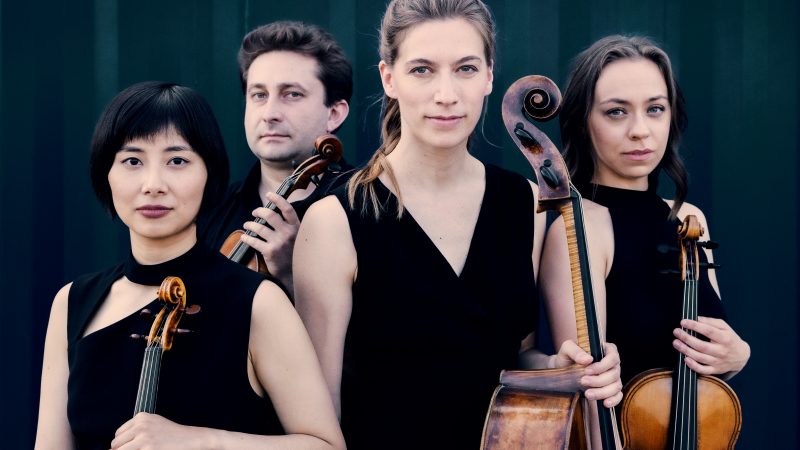 1487#2_MalionQuartett_230707©feliXbroede